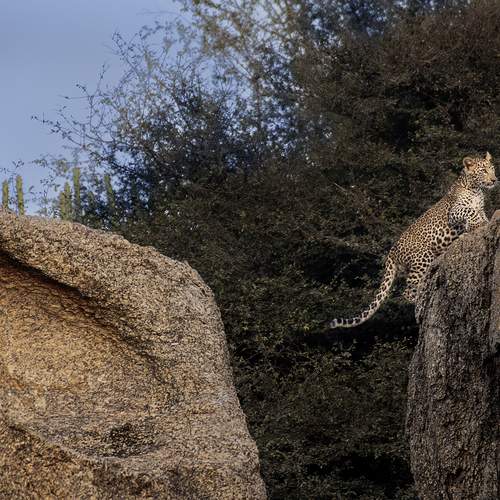 Photo #13558838