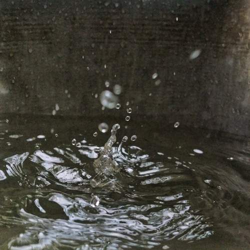 Photo #13558972