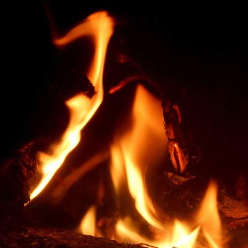 Photo #13558974