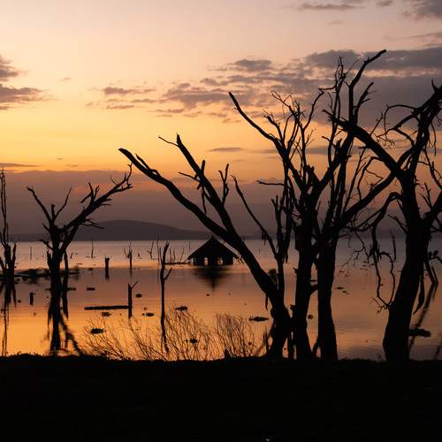 Photo #13559012