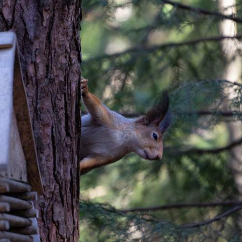 Photo #13559168