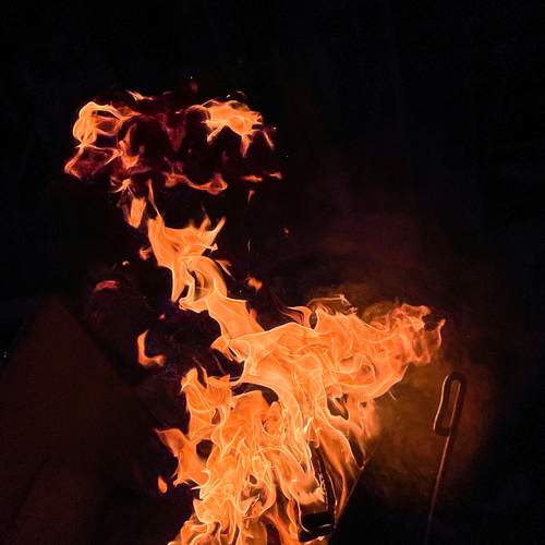 Photo #13559299