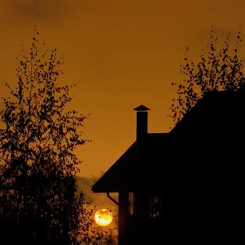 Photo #13559337