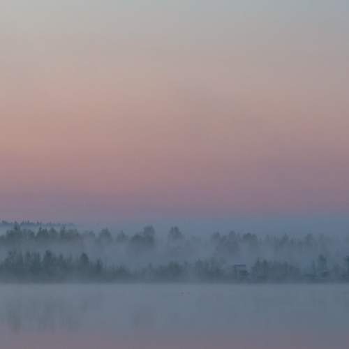 Photo #13559348