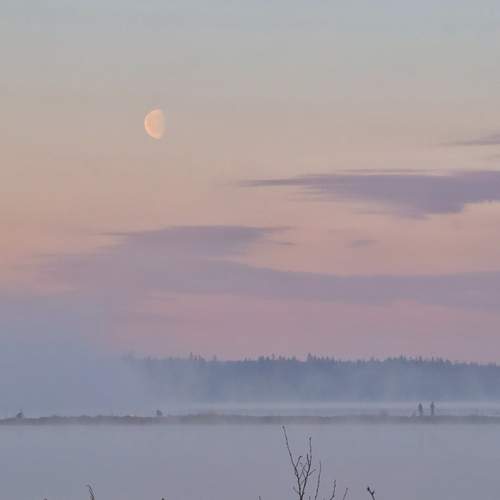 Photo #13559350
