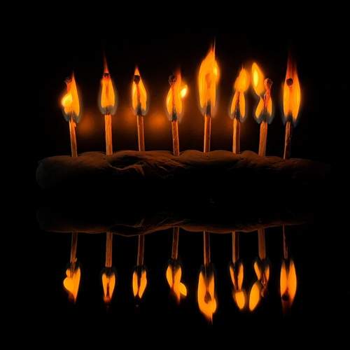 Photo #13559364