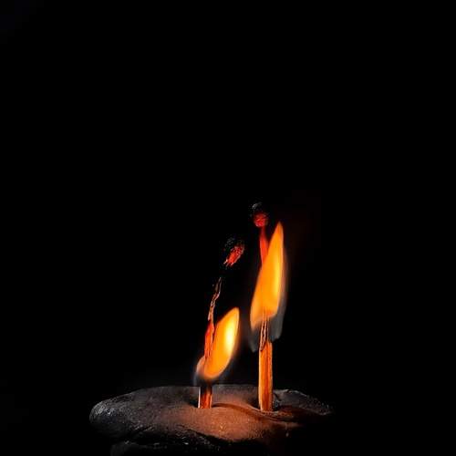 Photo #13559365