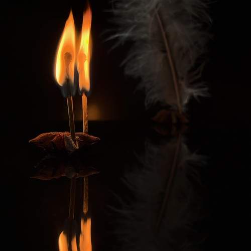 Photo #13559366
