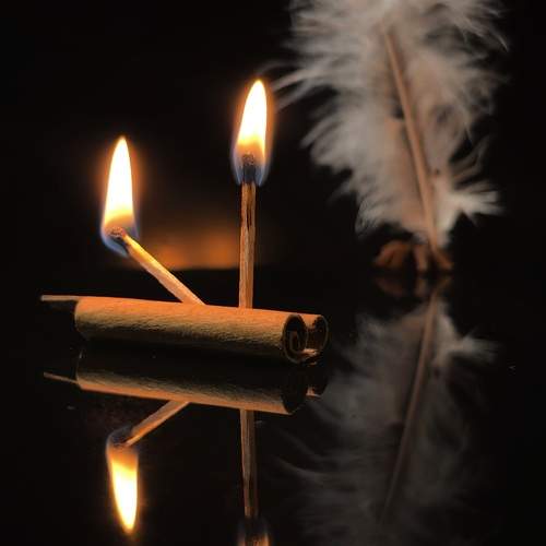 Photo #13559367