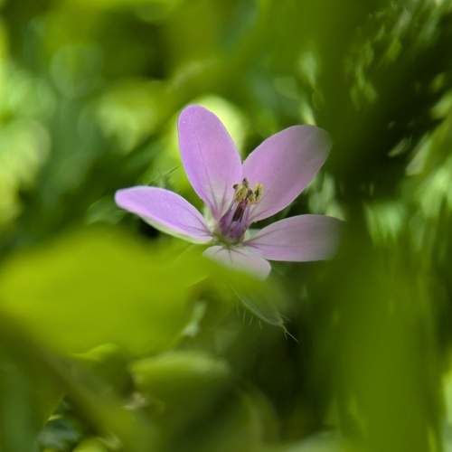 Photo #13559376