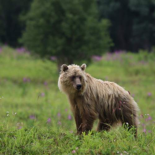 Photo #13559434