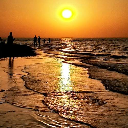 Photo #13559449
