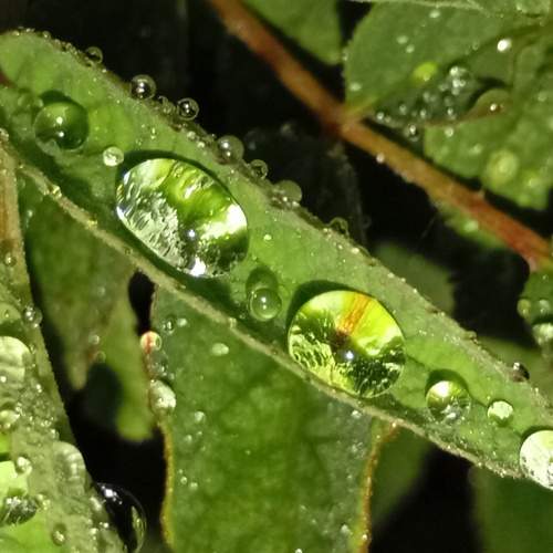 Photo #13559553