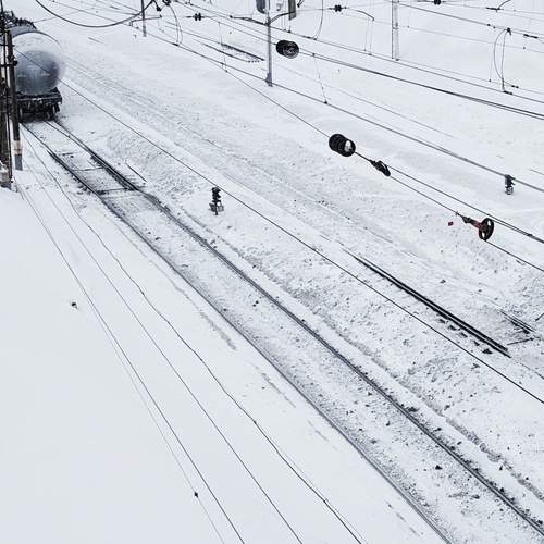 Photo #13559741