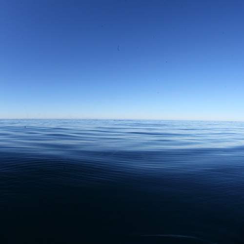 Photo #13559748
