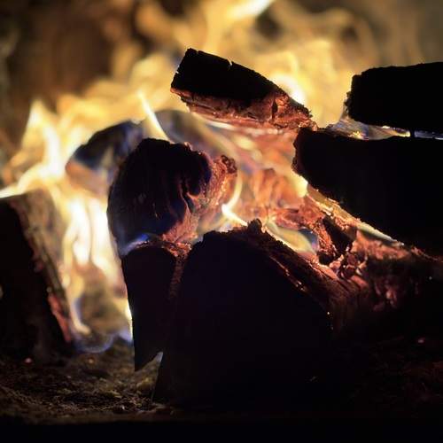 Photo #13559767