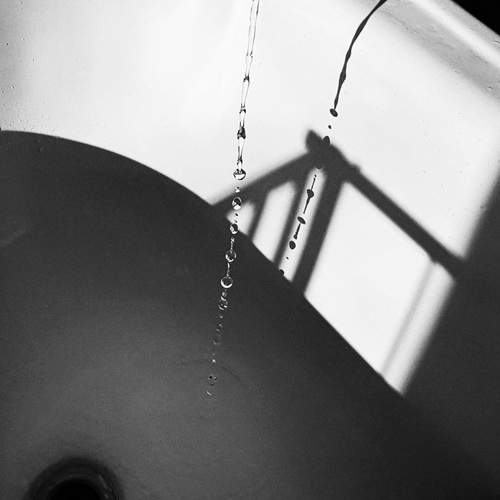 Photo #13559785