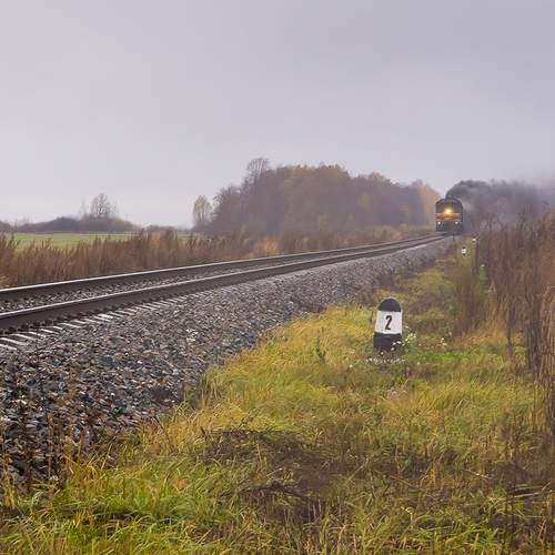 Photo #13559804
