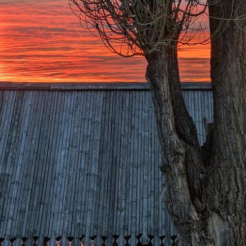 Photo #13559867