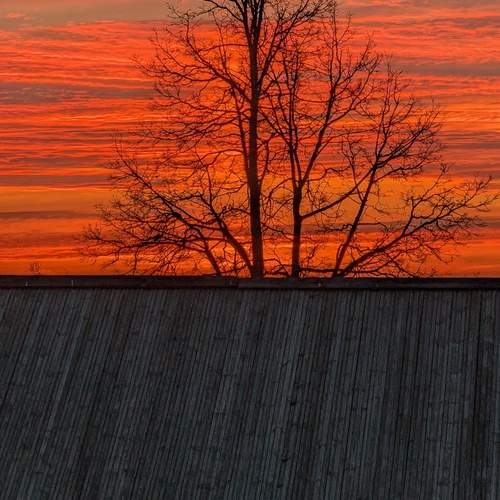 Photo #13559868