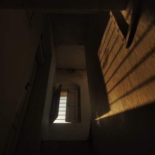 Photo #13559904