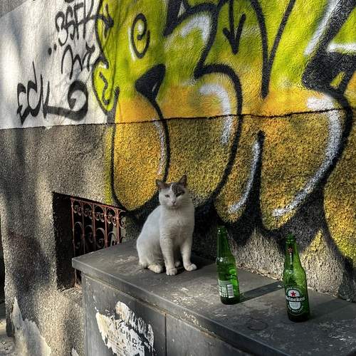 It was not me who drank it all and sprayed the wall!