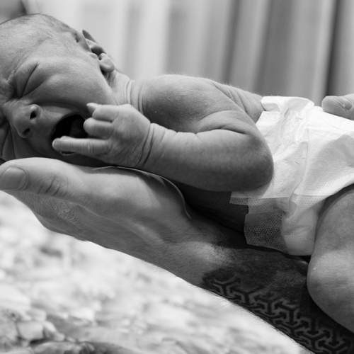 Photo #13559988