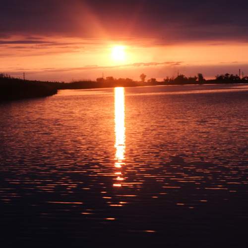 Photo #13560044