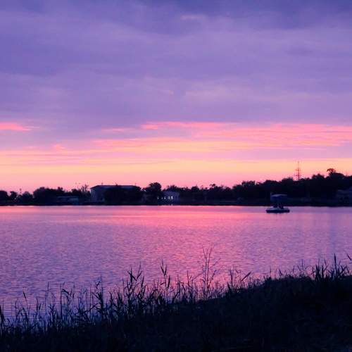 Photo #13560045
