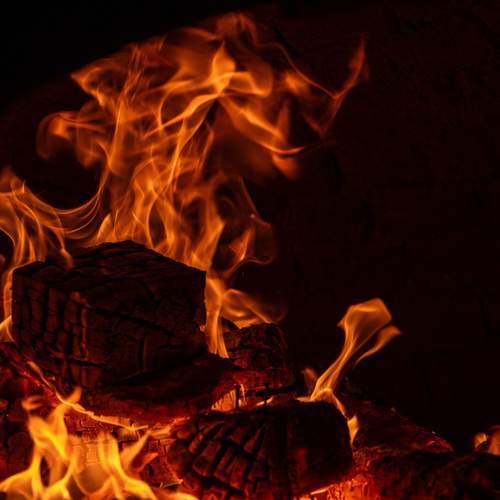 Photo #13560158