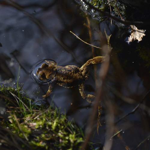 Photo #13560348