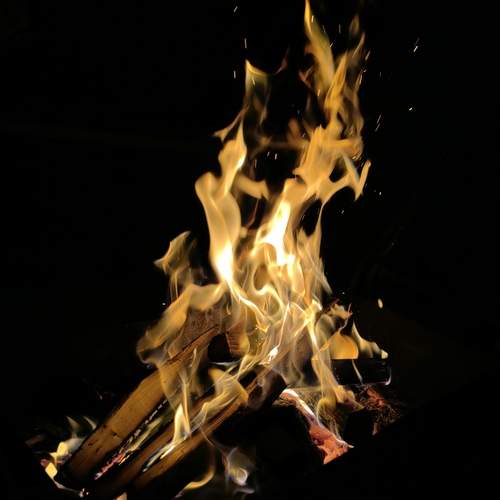 Photo #13560382