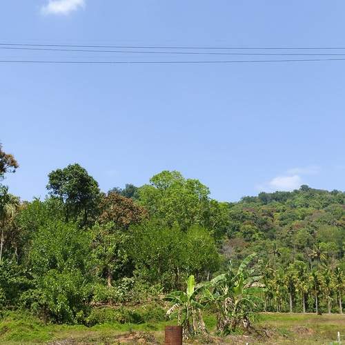 Photo #13560499