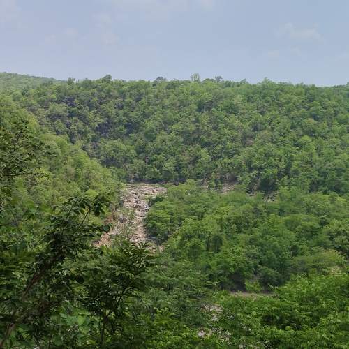 Photo #13560521