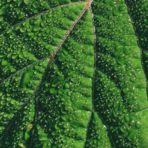 Photo #13560548