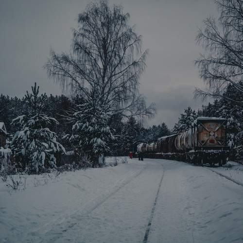 Photo #13560582