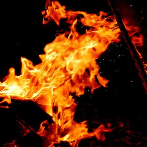 Photo #13560585