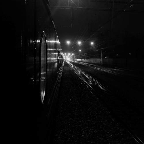 Photo #13560649
