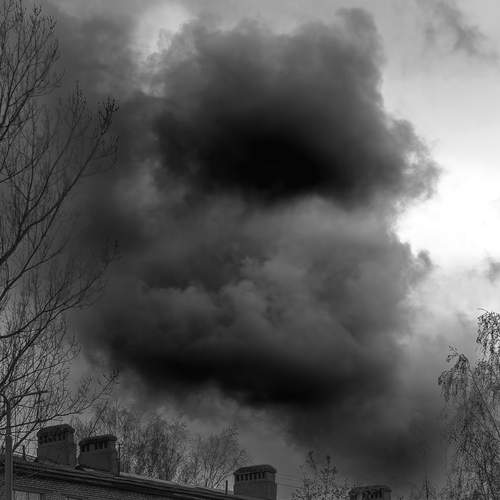 Photo #13560669