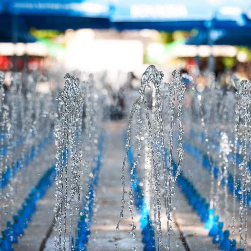 Photo #13560681