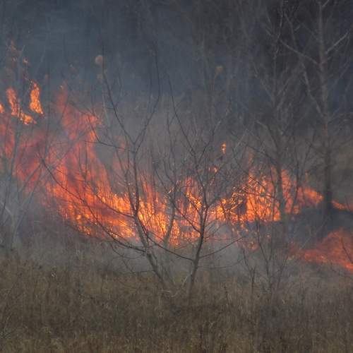 Photo #13560712
