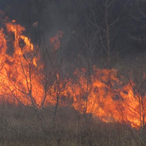 Photo #13560713