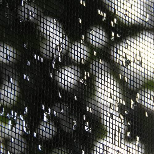 Photo #13560725