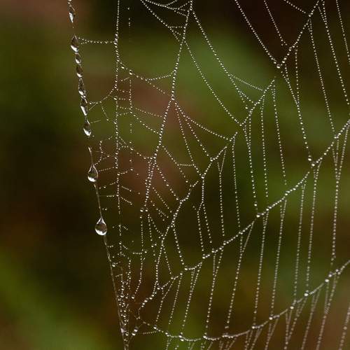Photo #13560935