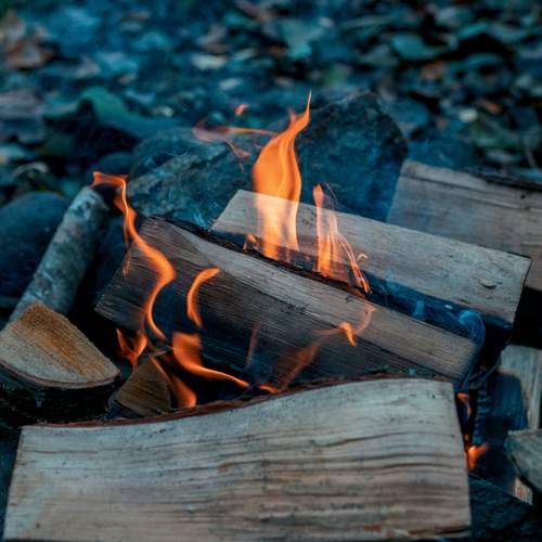 Photo #13561026