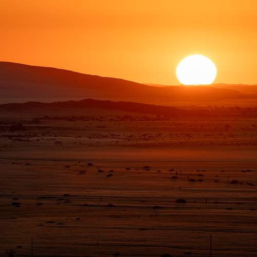 Photo #13561064