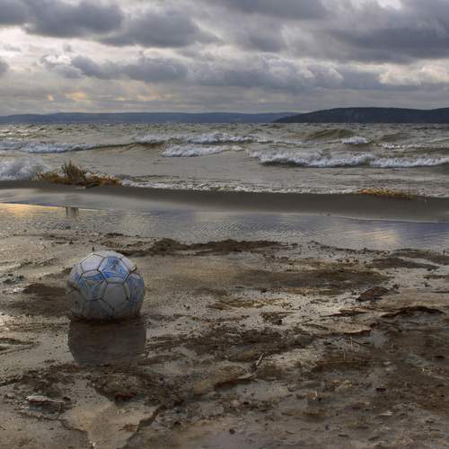 Photo #13561116