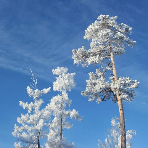Photo #13561163