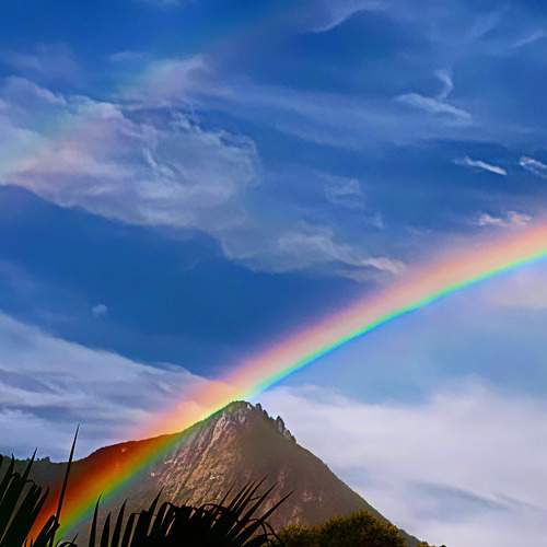 Photo #13561368