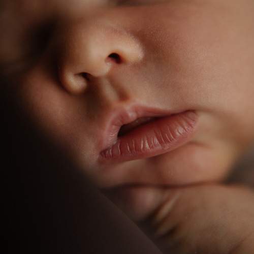 Photo #13561571